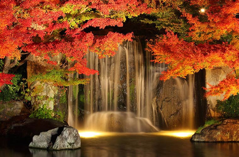 好古園 - 姫路城に隣接の日本庭園｜9つの庭園が魅せる四季折々の風景を楽しんで