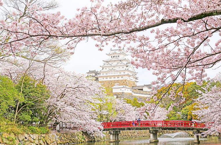 四季折々の姫路城｜世界遺産「姫路城」の景観をシーズンごとに紹介！ベストショットを狙おう