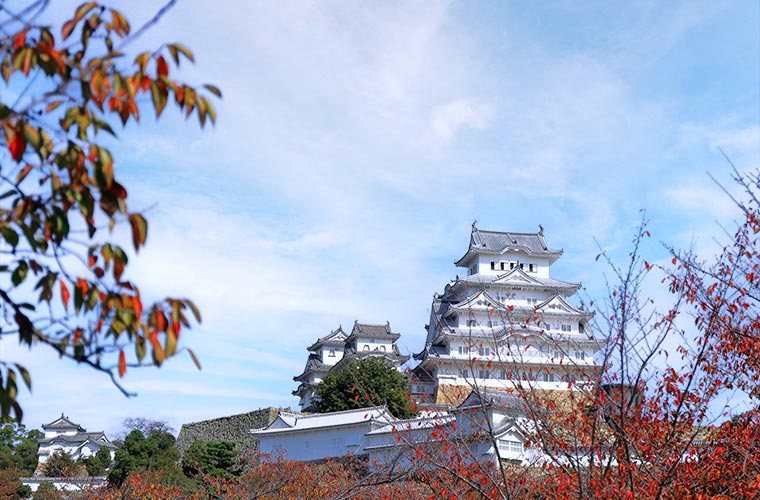 Himeji Castle in Each Season｜Introducing the scenery of the World Heritage Site 