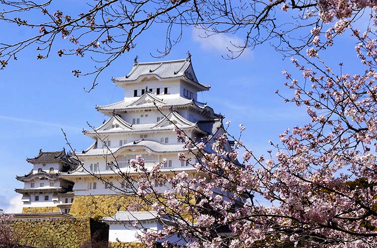 Himeji Castle Cherry Blossom 2024 Forecast｜Check out the light-up events too!